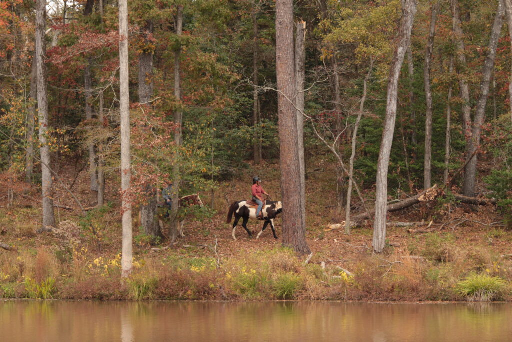 What Type of Horseback Rider Are You?